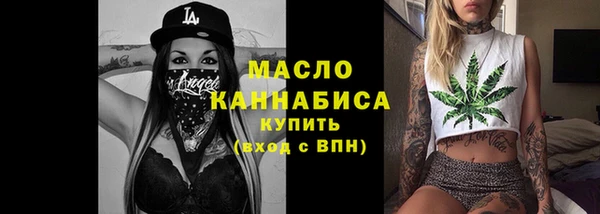 mix Богородицк