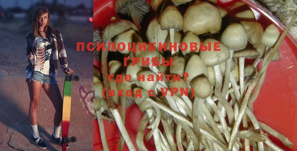 СК Богданович